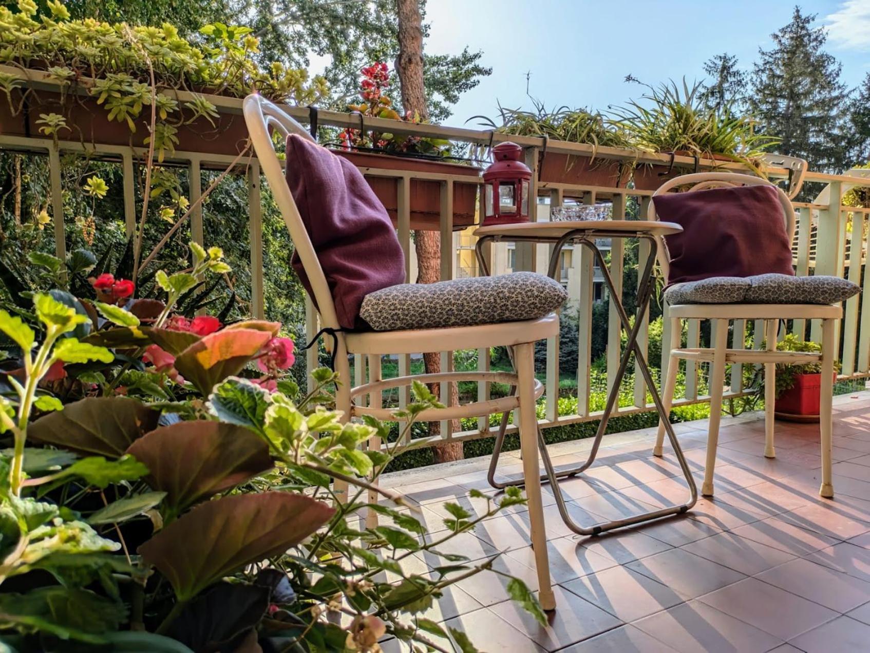 Appartamento Viale Puccini - Free Gated Parking - 3 Minutes From Center Lucca Ngoại thất bức ảnh